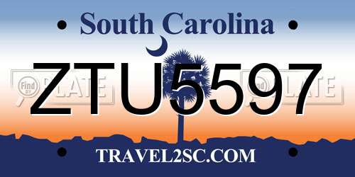 ZTU5597 South Carolina License Plate