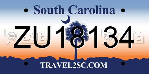 ZU18134 South Carolina License Plate