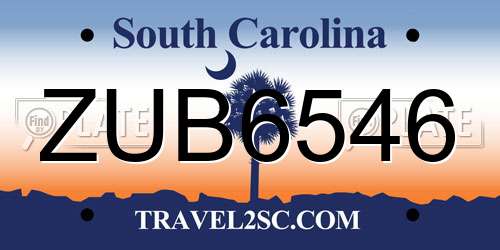 ZUB6546 South Carolina License Plate