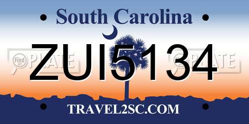 ZUI5134 South Carolina License Plate