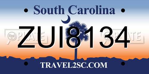 ZUI8134 South Carolina License Plate