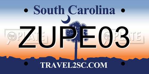 ZUPE03 South Carolina License Plate