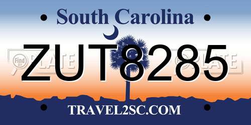ZUT8285 South Carolina License Plate