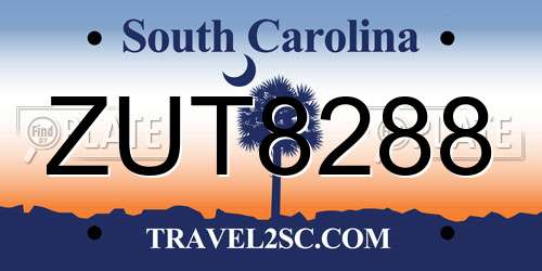 ZUT8288 South Carolina License Plate