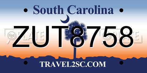 ZUT8758 South Carolina License Plate