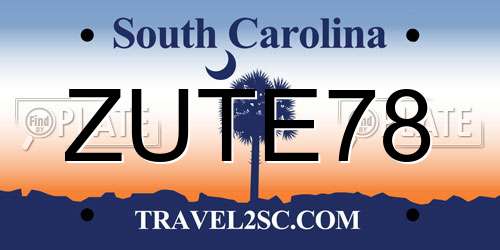 ZUTE78 South Carolina License Plate