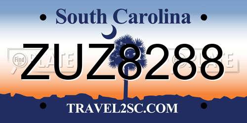 ZUZ8288 South Carolina License Plate