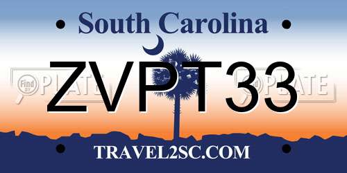 ZVPT33 South Carolina License Plate