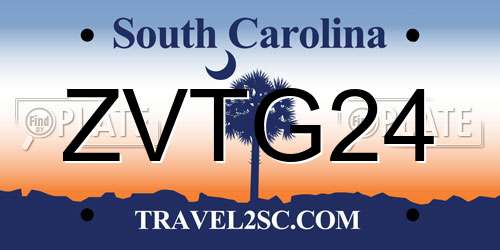 ZVTG24 South Carolina License Plate