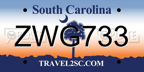 ZWG733 South Carolina License Plate