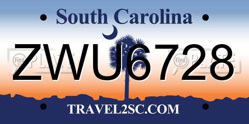 ZWU6728 South Carolina License Plate