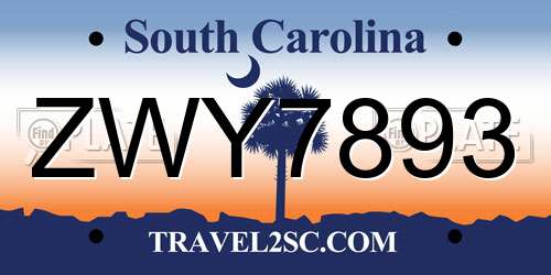 ZWY7893 South Carolina License Plate