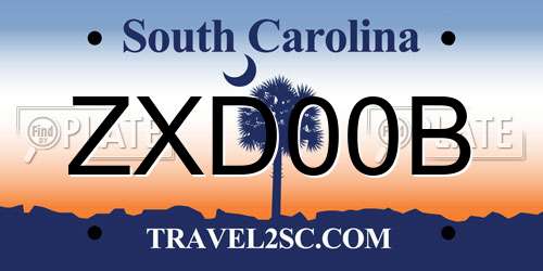 ZXD00B South Carolina License Plate