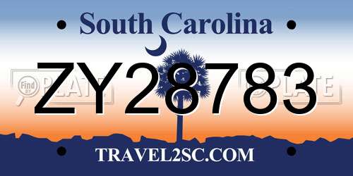 ZY28783 South Carolina License Plate