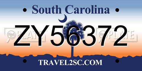 ZY56372 South Carolina License Plate