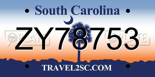 ZY78753 South Carolina License Plate