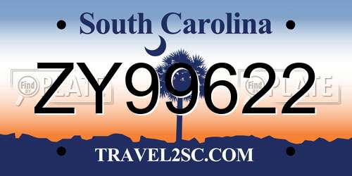 ZY99622 South Carolina License Plate