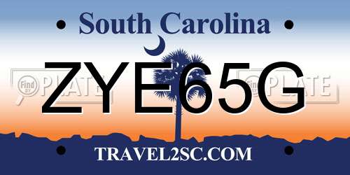 ZYE65G South Carolina License Plate