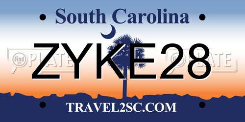 ZYKE28 South Carolina License Plate