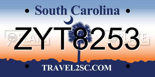 ZYT8253 South Carolina License Plate