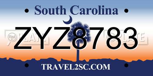 ZYZ8783 South Carolina License Plate