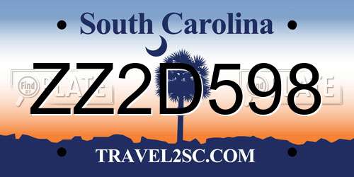 ZZ2D598 South Carolina License Plate