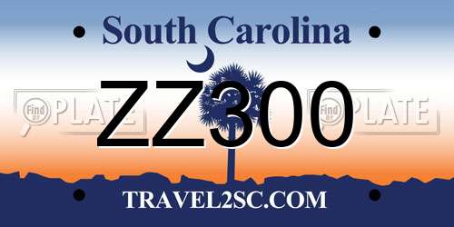 ZZ300 South Carolina License Plate
