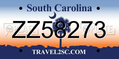 ZZ58273 South Carolina License Plate