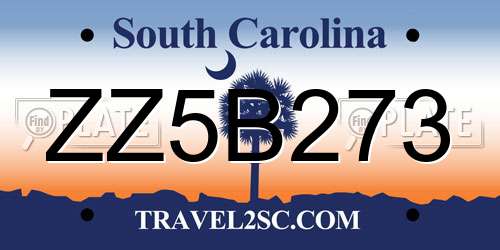 ZZ5B273 South Carolina License Plate