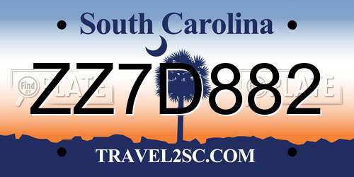 ZZ7D882 South Carolina License Plate