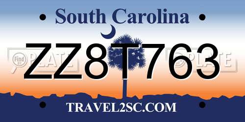 ZZ8T763 South Carolina License Plate