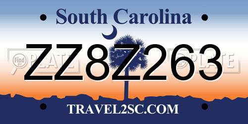 ZZ8Z263 South Carolina License Plate