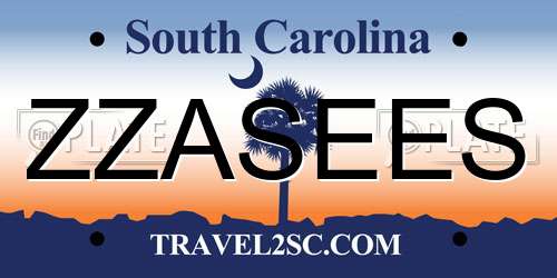 ZZASEES South Carolina License Plate