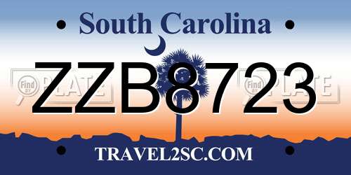 ZZB8723 South Carolina License Plate