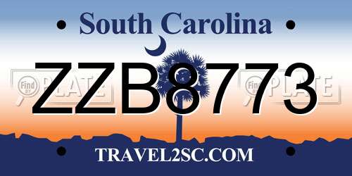 ZZB8773 South Carolina License Plate