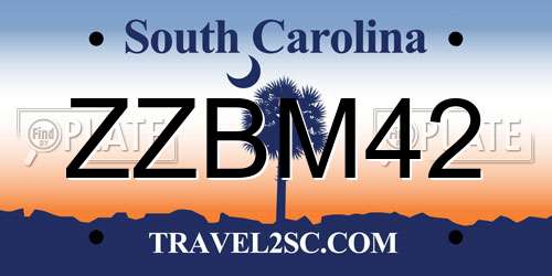 ZZBM42 South Carolina License Plate