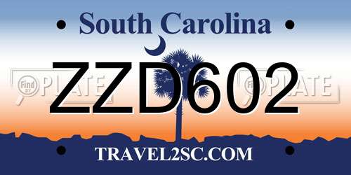 ZZD602 South Carolina License Plate