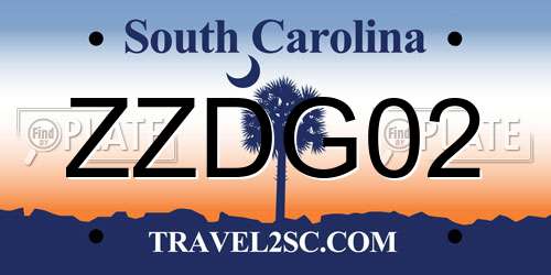 ZZDG02 South Carolina License Plate