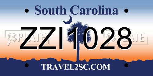 ZZI1028 South Carolina License Plate