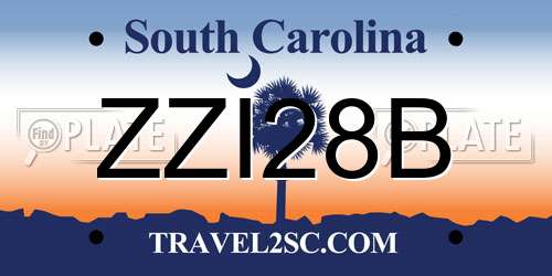 ZZI28B South Carolina License Plate