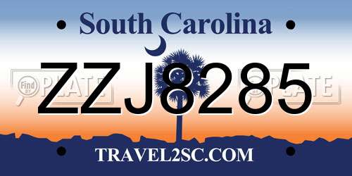 ZZJ8285 South Carolina License Plate