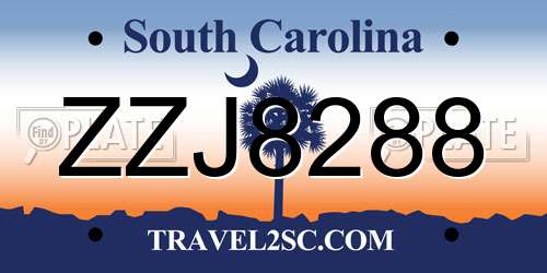 ZZJ8288 South Carolina License Plate