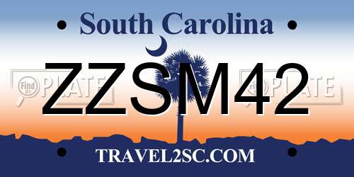ZZSM42 South Carolina License Plate