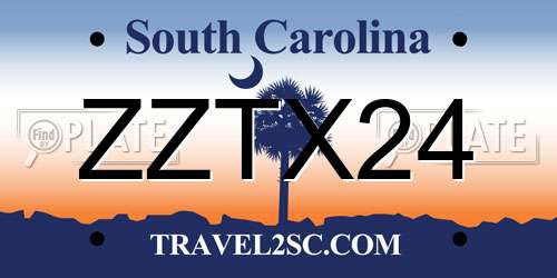 ZZTX24 South Carolina License Plate