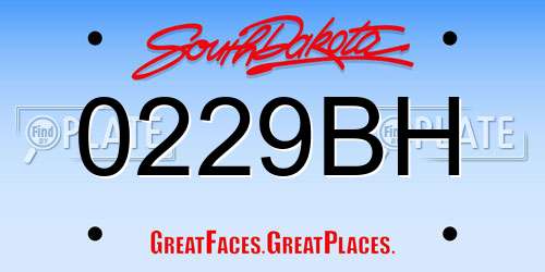0229BH South Dakota License Plate