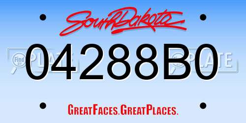 04288B0 South Dakota License Plate