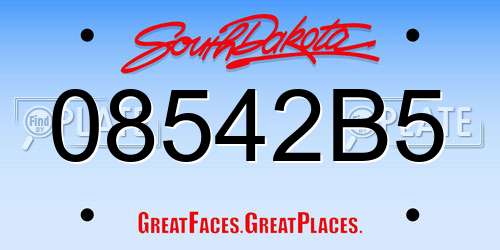 08542B5 South Dakota License Plate