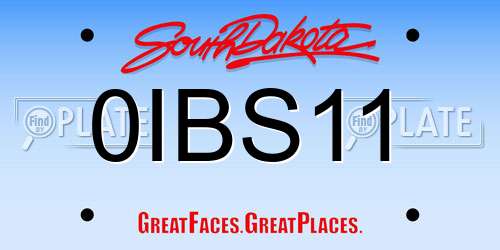 0IBS11 South Dakota License Plate