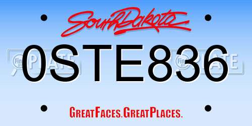 0STE836 South Dakota License Plate