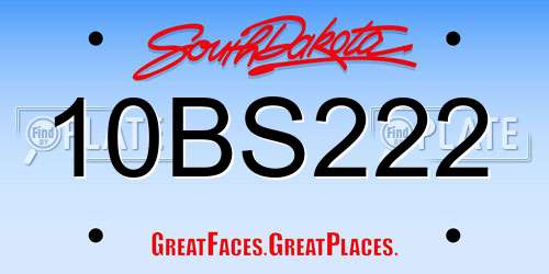 10BS222 South Dakota License Plate